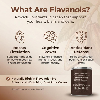 High Flavanol Cacao Powder